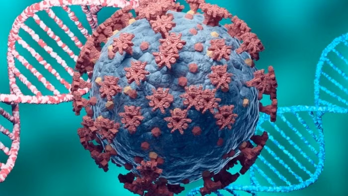 Nhóm các chuyên gia từ WHO đang quan sát và theo dõi biến chủng Delta plus để xác định khả năng lây truyền và mức độ nghiêm trọng của nó. Ảnh: íStock.