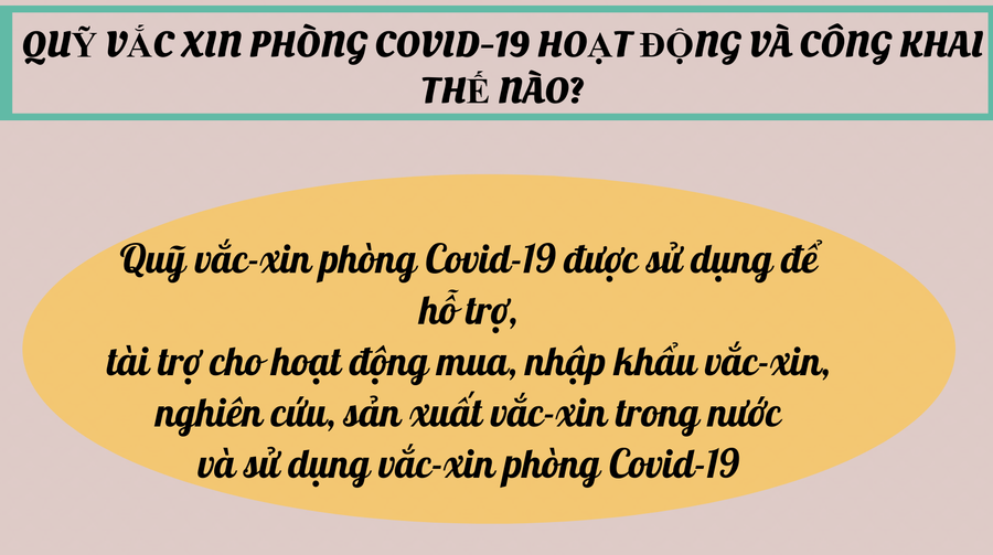 [Infographic] Quỹ vắc xin phòng Covid-19 công khai thu chi thế nào? ảnh 2