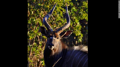 10 khu dự trữ sinh quyển đẹp nhất thế giới hình 7 10 khu du tru sinh quyen dep nhat the gioi hinh 7