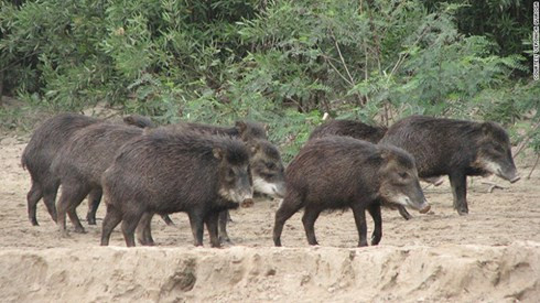 10 khu dự trữ sinh quyển đẹp nhất thế giới hình 9 10 khu du tru sinh quyen dep nhat the gioi hinh 9