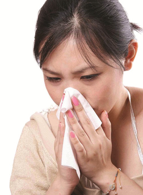 Chữa viêm xoang bằng cây cứt lợn