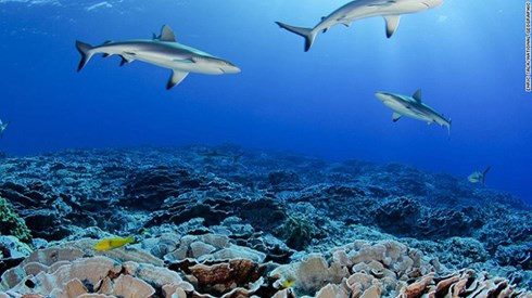 10 khu dự trữ sinh quyển đẹp nhất thế giới hình 5 10 khu du tru sinh quyen dep nhat the gioi hinh 5