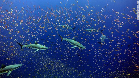 10 khu dự trữ sinh quyển đẹp nhất thế giới hình 2 10 khu du tru sinh quyen dep nhat the gioi hinh 2