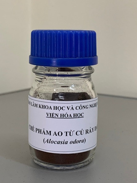 Sản phẩm chiết xuất từ cây ráy dại có tác dụng phòng ngừa gout. Sản phẩm chiết xuất từ cây ráy dại có tác dụng phòng ngừa gout.