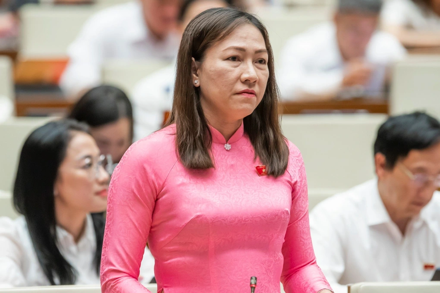 Đại biểu Nguyễn Thị Yến Nhi (Đoàn ĐBQH tỉnh Bến Tre). Đại biểu Nguyễn Thị Yến Nhi (Đoàn ĐBQH tỉnh Bến Tre).