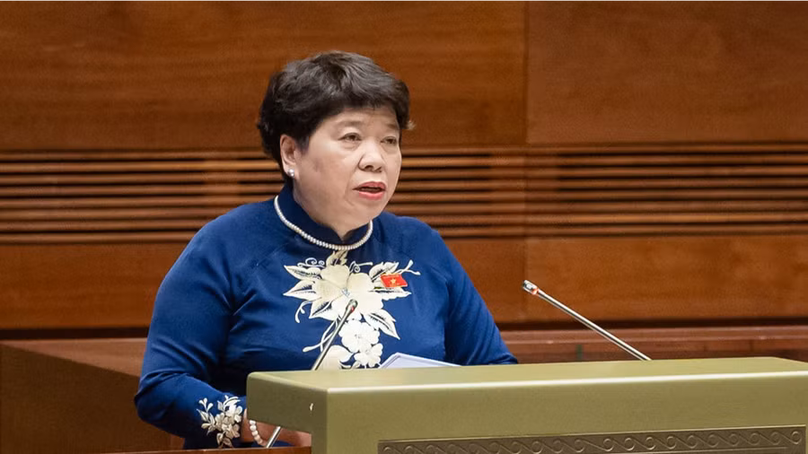 Bà Nguyễn Thúy Anh, Chủ nhiệm Ủy ban Xã hội của Quốc hội.