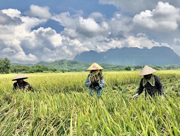 Nhờ sự quan tâm của Huyện uỷ, UBND huyện Tân Lạc, đời sống sinh hoạt của người dân ngày càng nâng cao.