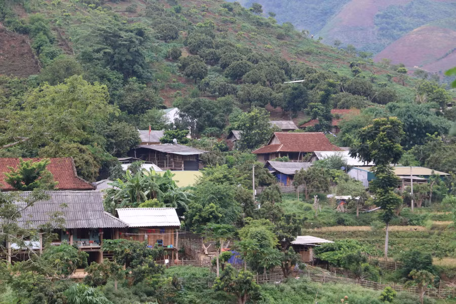 Nhờ sự vào cuộc quyết liệt của cả hệ thống chính trị trong công tác giảm nghèo, đời sống của bà con ở xã Chiềng Cang, huyện Sông Mã đã được nâng lên rõ rệt.