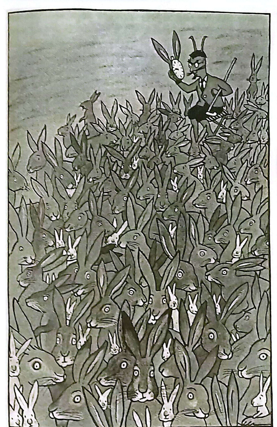 Hình ảnh minh họa sống động về dãy số Fibonacci qua sự sinh sản của loài thỏ. Ảnh: Tấn Quyết.