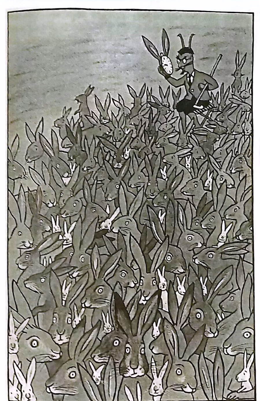 Hình ảnh minh họa sống động về dãy số Fibonacci qua sự sinh sản của loài thỏ. Ảnh: Tấn Quyết.