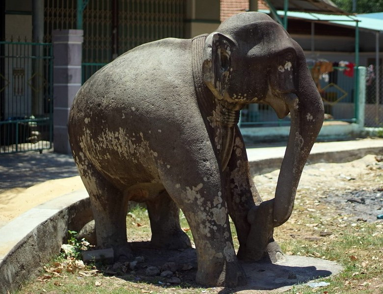 Cặp tượng voi đá thành Đồ Bàn. Ảnh: IT