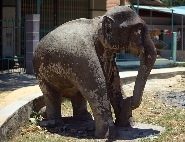 Cặp tượng voi đá thành Đồ Bàn. Ảnh: IT