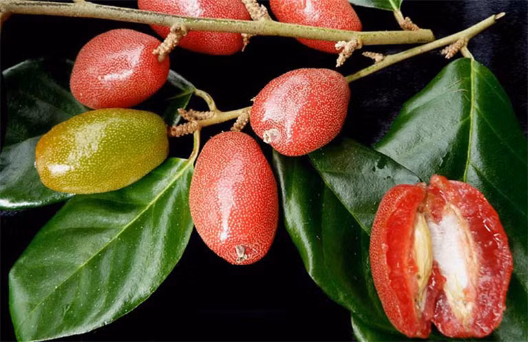 Ảnh minh họa/INT