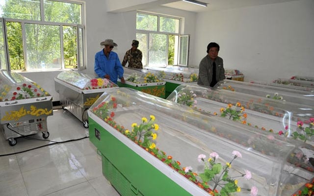 Chồng đóng quan tài băng giữ xác vợ trong phòng ngủ nhiều tháng