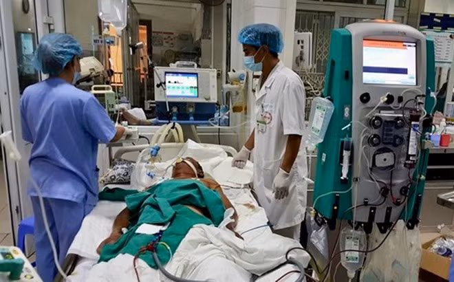 Thêm 2 người tử vong vì liên cầu lợn ở Hà Nội 