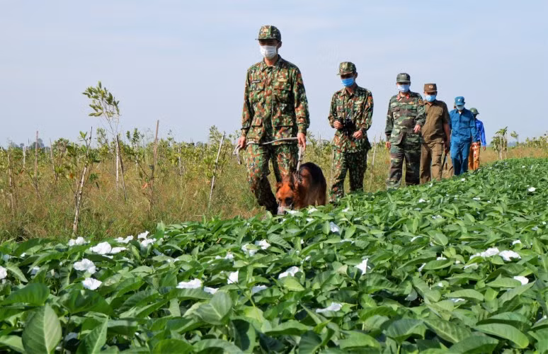 Giáp Tết, lực lượng Bộ đội Biên phòng tỉnh An Giang bám biên giới, phòng ngừa tình trạng xuất, nhập cảnh trái phép. 