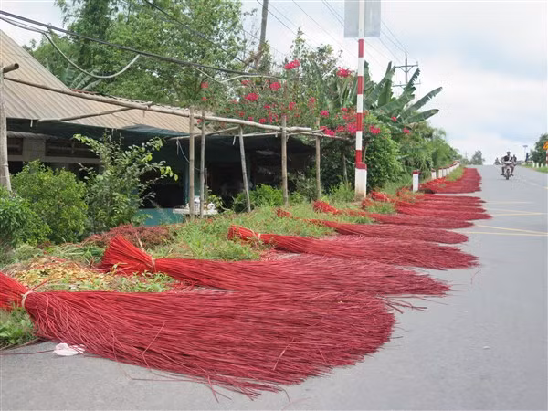 Dọc theo các tuyến đường ở xã Định An và Định Yên, chiếu và lác với nhiều màu sắc phong phú được phơi dọc theo hai bên đường.