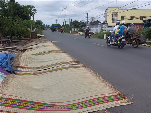 Sức sống làng chiếu Định Yên ảnh 1