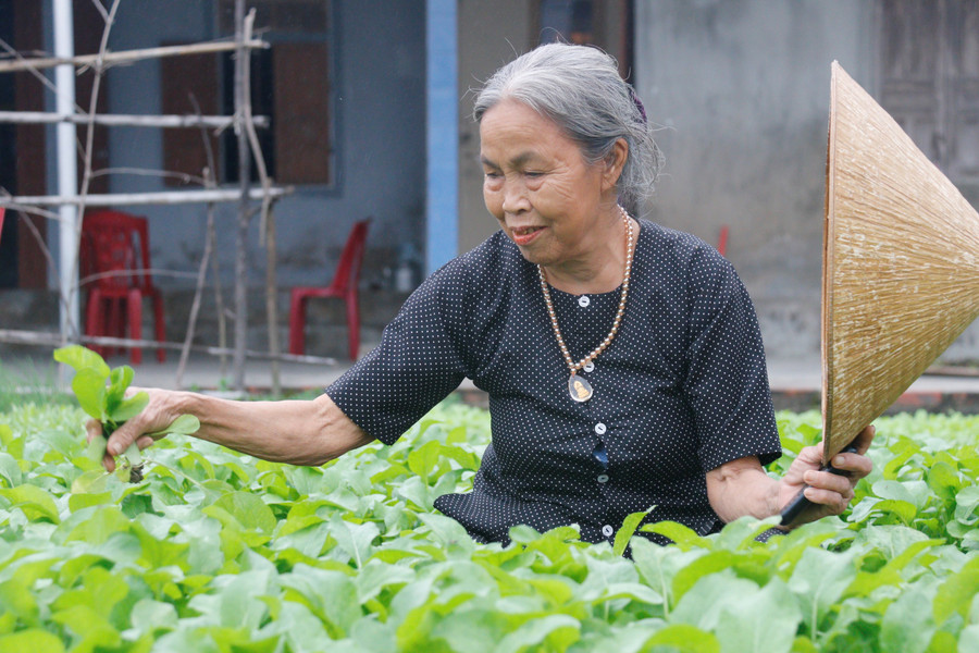Dù cuộc sống đổi thay nhưng bà Nguyễn Thị Tý vẫn không thể quên khoảng thời gian vì đói mà phải theo làng đi xin ăn.