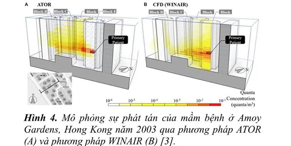 Sự phát tán của virus trong thí nghiệm mô phỏng mà nhóm nghiên cứu chỉ ra.