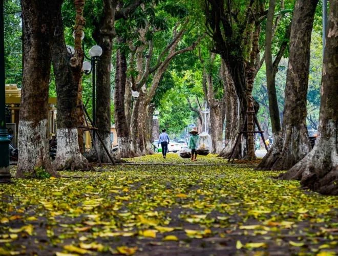 Ảnh minh họa/INT