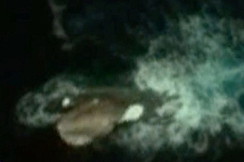 Phát hiện này đang gây tranh cãi gay gắt. Ảnh The Mirror