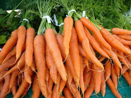 Cà rốt 7 sắc cầu vồng, càng ăn càng bổ - 1