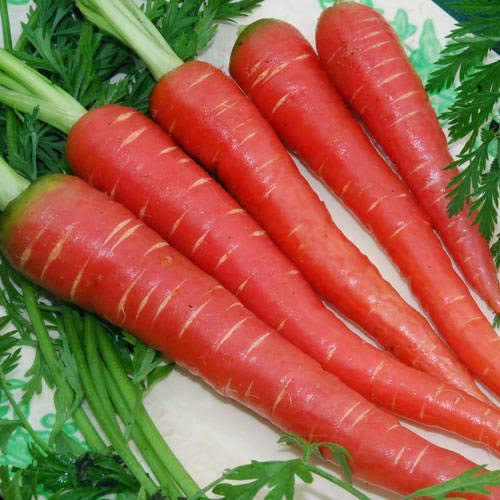 Cà rốt 7 sắc cầu vồng, càng ăn càng bổ - 3
