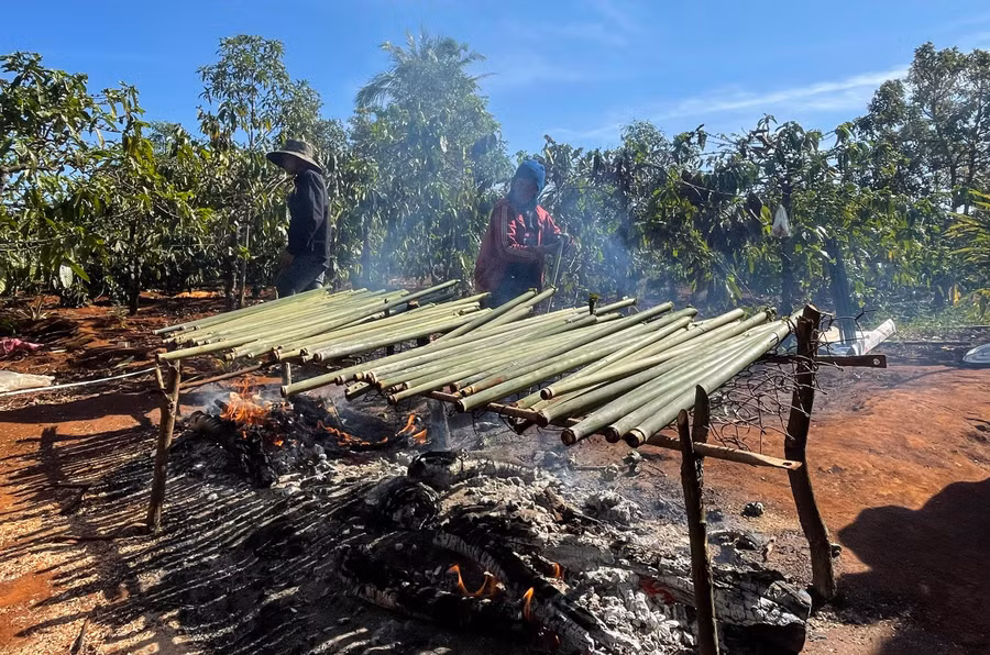 Hàng trăm ống cơm lam được nướng để đãi dân làng trong 3 ngày, 3 đêm.