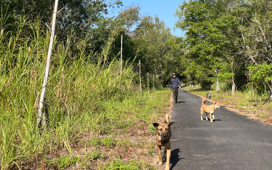 Ông Lương Đức Xốp cùng đàn chó đi tuần tra, bảo vệ rừng. Ông Lương Đức Xốp cùng đàn chó đi tuần tra, bảo vệ rừng.