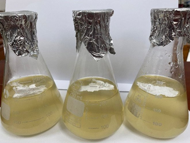 Thử nghiệm phân hủy PHB trong môi trường dịch nuôi bacillus sp. Thử nghiệm phân hủy PHB trong môi trường dịch nuôi bacillus sp.