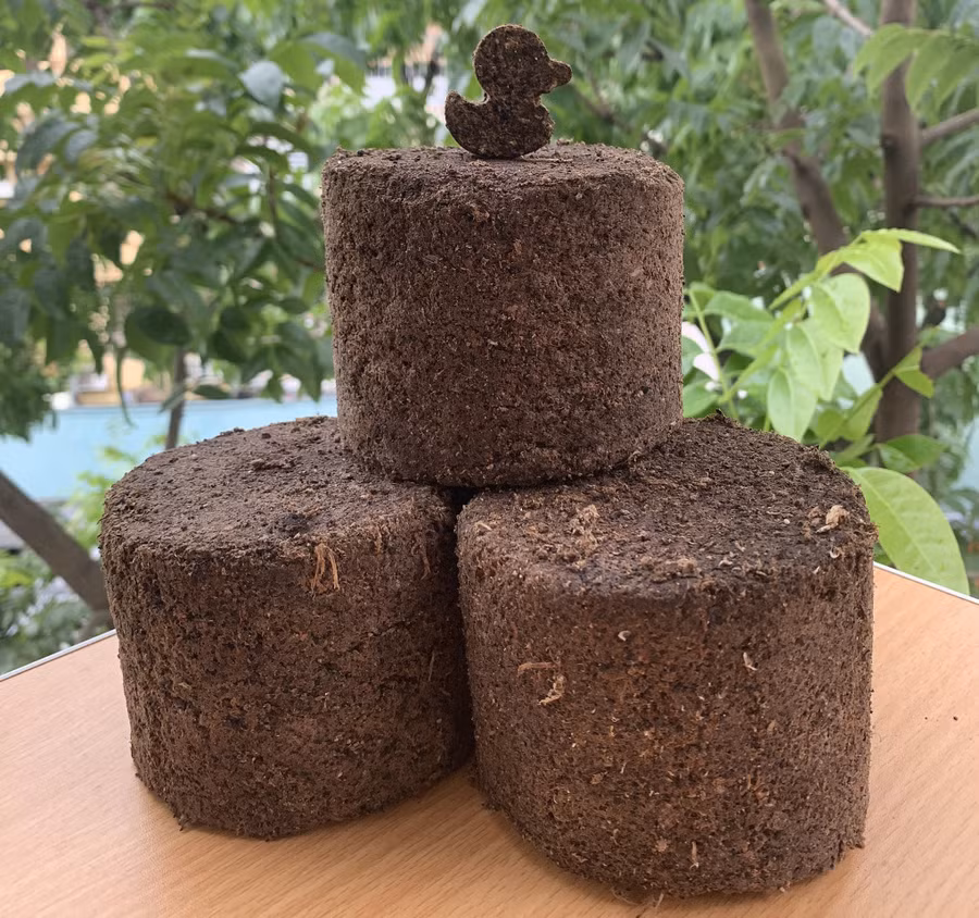 Viên nén chất đốt từ bã cà phê và mùn cưa của nhóm sinh viên.