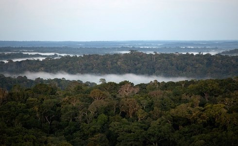 Cảnh khác nhìn gần hơn từ tháp ATTO.