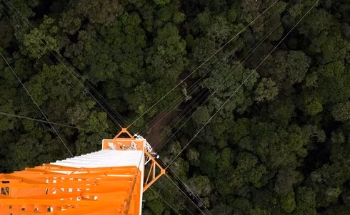 Việc nhìn xuống chân tháp không dành cho những người sợ độ cao.