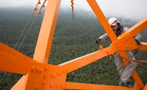 Các nhà khoa học làm việc trong cabin cạnh chân tháp ATTO.