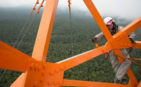 Các nhà khoa học làm việc trong cabin cạnh chân tháp ATTO.