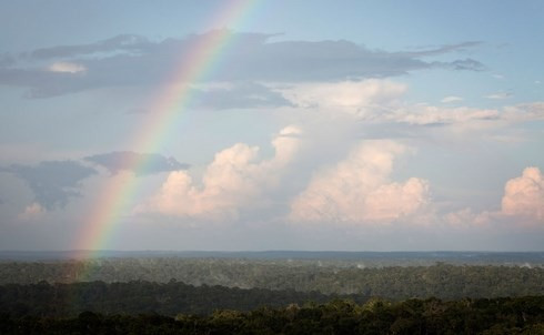 Cầu vồng sau trận mưa rừng Amazon.