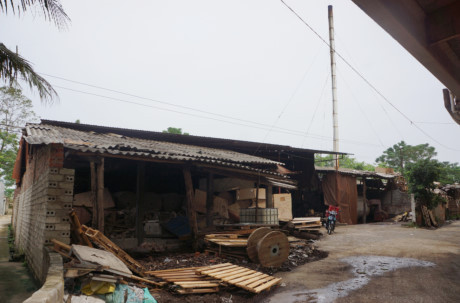 Dân Dan