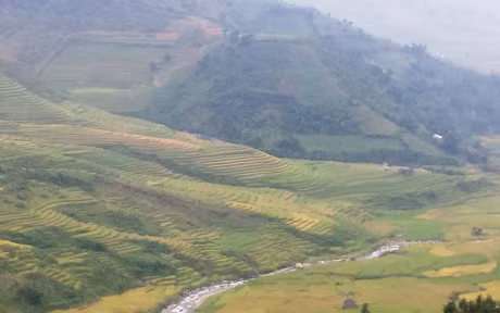 Chiem nguong du luon va ruong bac thang o Mu Cang Chai - Anh 5