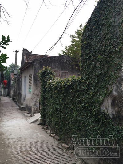 Ngỡ ngàng lạc vào ngôi làng toàn biệt thự "Tây", gần trăm năm tuổi ảnh 13 Ngỡ ngàng lạc vào ngôi làng toàn biệt thự "Tây", gần trăm năm tuổi ảnh 13
