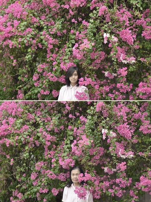Bộ ảnh bo anh