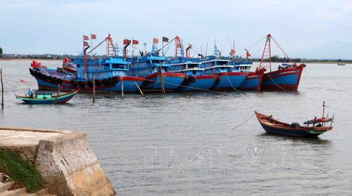 Tàu thuyền trú bão tại khu neo đậu Cửa Hội - Nghệ An. Ảnh: TTXVN