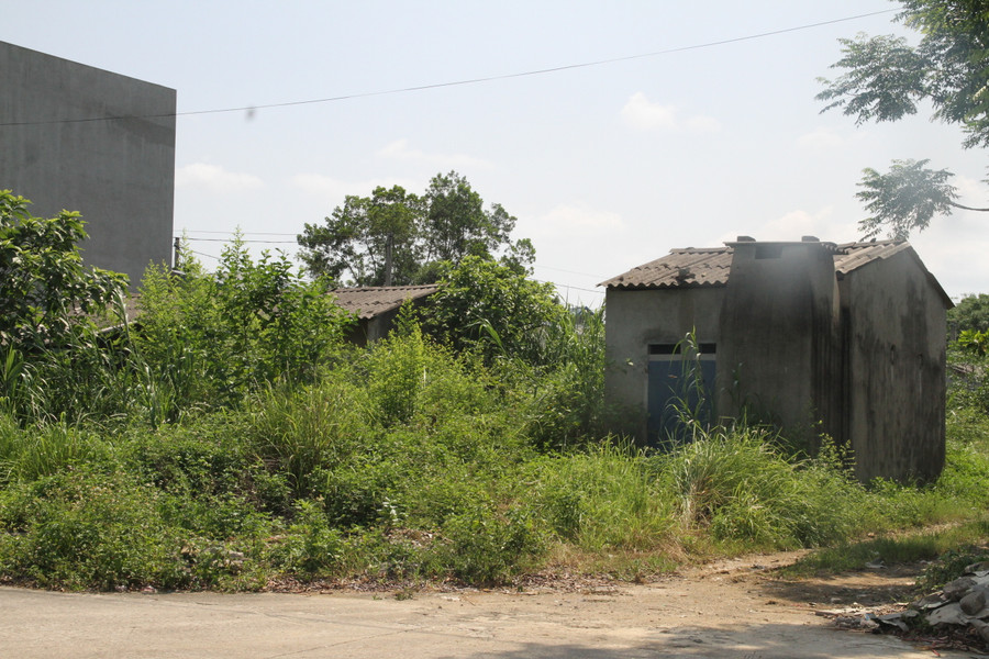 Một ngôi nhà lấp sau bụi cây cỏ dại. Một ngôi nhà lấp sau bụi cây cỏ dại.