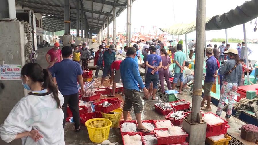 Cảng cá Sông Đốc, huyện Trần Văn Thời (Cà Mau).