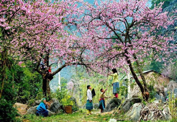 Bắc Bộ và Bắc Trung Bộ từ ngày mai 17/1 trời chuyển rét