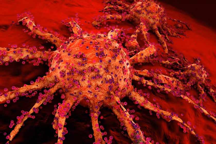 Chất chống oxy hóa như vitamin C và E đã đẩy nhanh sự phát triển và lây lan của ung thư phổi.