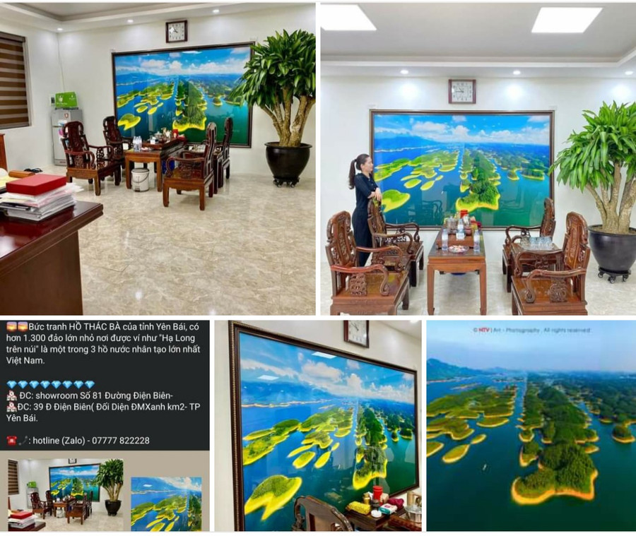 Tác phẩm bị chủ một cửa hàng nội thất đánh cắp để phục vụ mục đích kinh doanh. Tác phẩm bị chủ một cửa hàng nội thất đánh cắp để phục vụ mục đích kinh doanh.