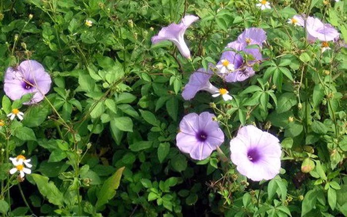 Ảnh minh họa/INT.