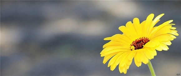 điều không nên nói 1 không nên nói, giao tiếp thông minh, người khôn