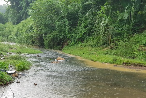 Dầu thải loang ra Suối Châm ảnh hưởng đến nguồn nước.